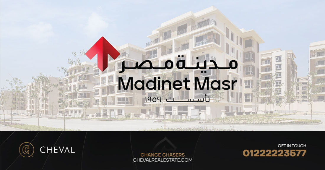 Why Did Madinet Nasr Company Change Its Name